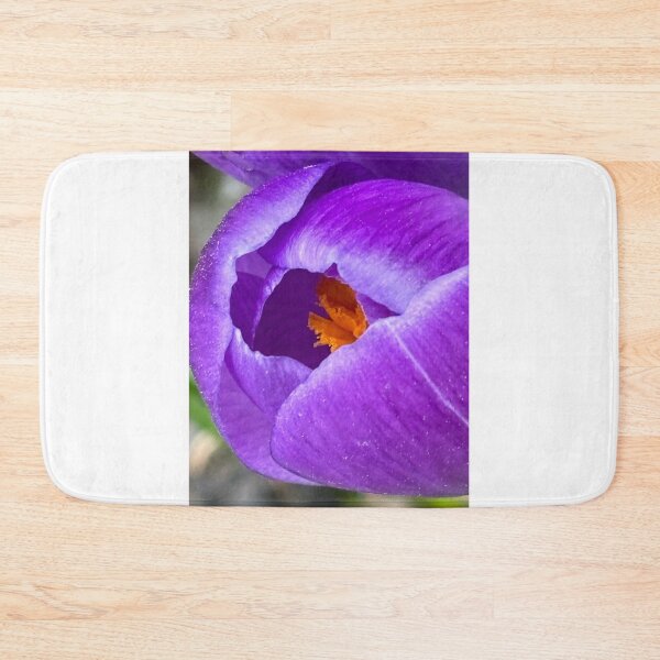 Item preview, Crocus - Spring - 2024 designed and sold by © Andrzej Goszcz,M.D. Ph.D.