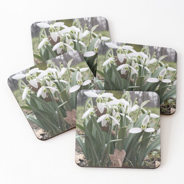 Item preview, Early spring and white snowdrops designed and sold by lusiakotowska.