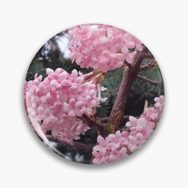 Artikelvorschau, Vorfrühling und duftender Viburnum entworfen und verkauft von lusiakotowska.