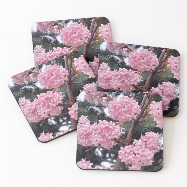 Item preview, Early spring and fragrant viburnum designed and sold by lusiakotowska.