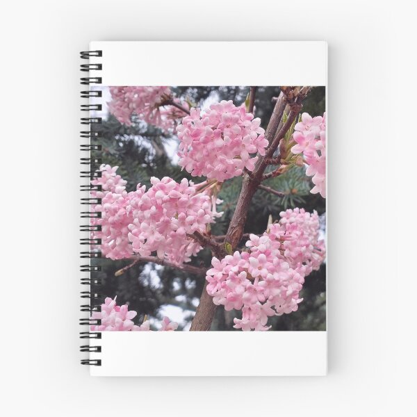 Item preview, Early spring and fragrant viburnum designed and sold by lusiakotowska.