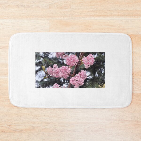 Artikelvorschau, Vorfrühling und duftender Viburnum entworfen und verkauft von lusiakotowska.