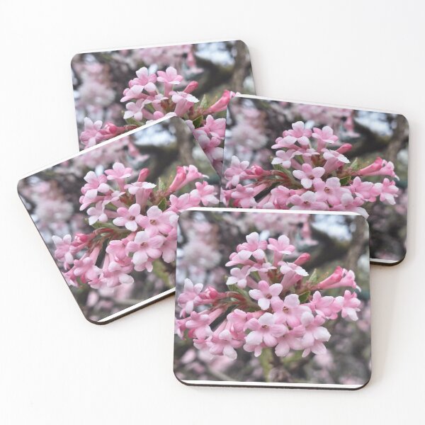 Item preview, Early spring and fragrant viburnum designed and sold by lusiakotowska.