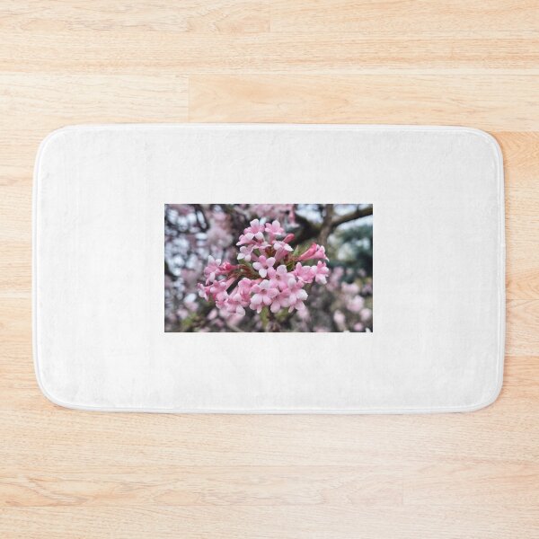 Artikelvorschau, Vorfrühling und duftender Viburnum entworfen und verkauft von lusiakotowska.