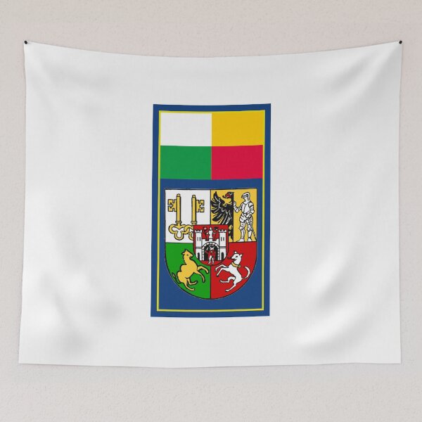 Item preview, Plzen Flag & Coat of arms designed and sold by adamst555.