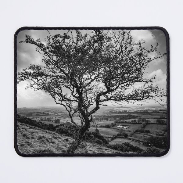 Item preview, A winter tree in Ireland  designed and sold by Ashyk10.