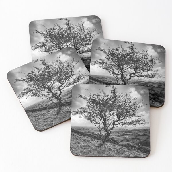 Item preview, A winter tree in Ireland  designed and sold by Ashyk10.