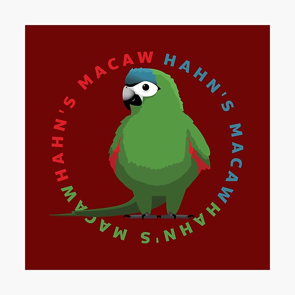 Item preview, Hahn's Macaw Parrot  Bird With Name designed and sold by SUPERHERON.