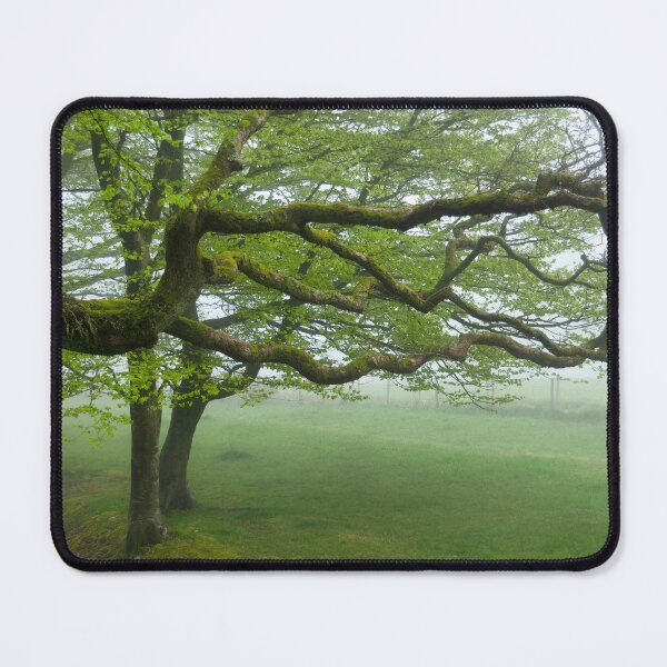 Item preview, Cool Misty Day At Blackbury Camp designed and sold by Dorset Girl.