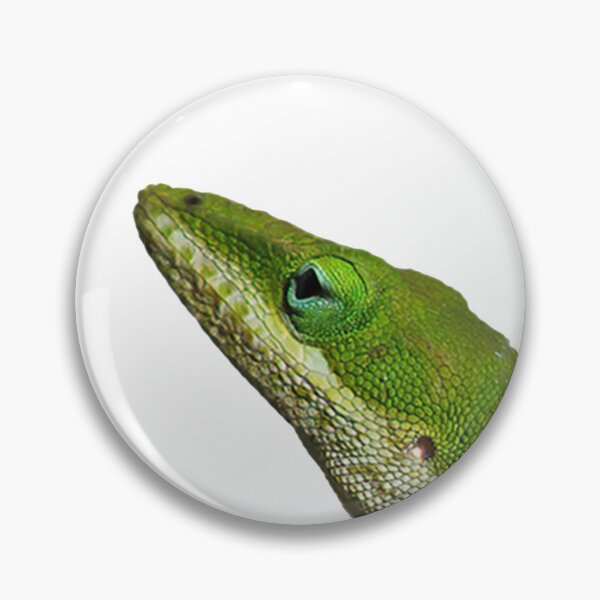 Item preview, Green Anole designed and sold by NightLightsPics.