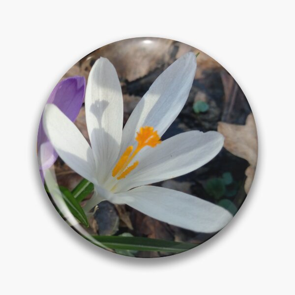 Item preview, Crocus flower field 16 original artwork designed and sold by paragonDesign28.