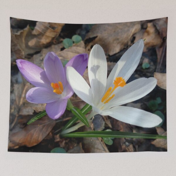 Item preview, Crocus flower field 16 original artwork designed and sold by paragonDesign28.