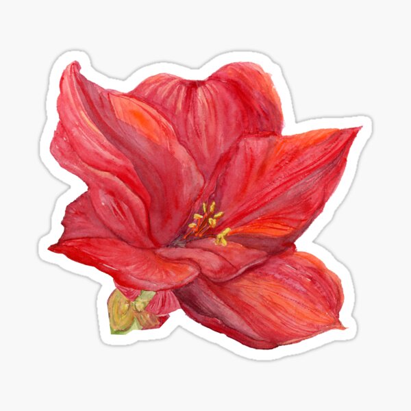 Item preview, Amaryllis Single designed and sold by ALA Creative Studio.