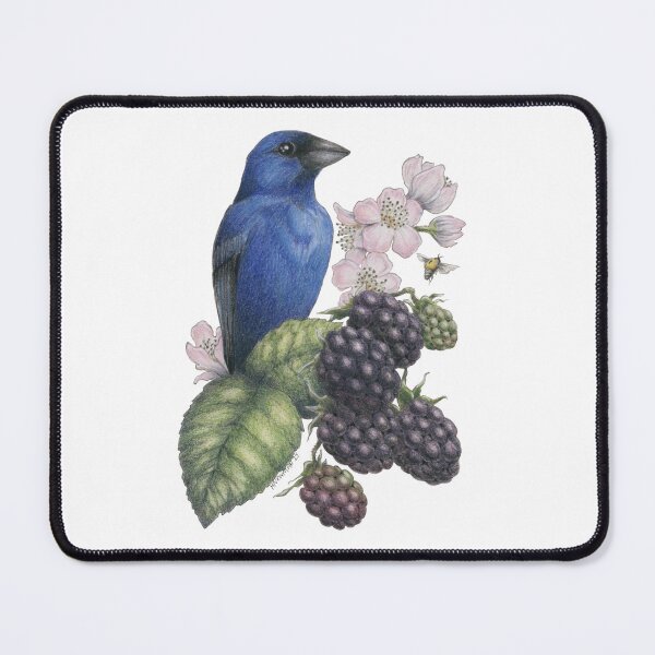 Item preview, Indigo Bunting Blackberries designed and sold by hnewmanart.