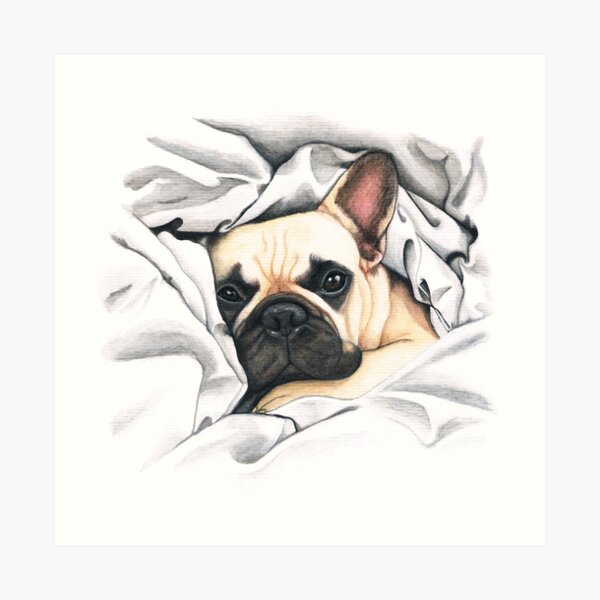 french bulldog - @MiudaFrenchie Art Print