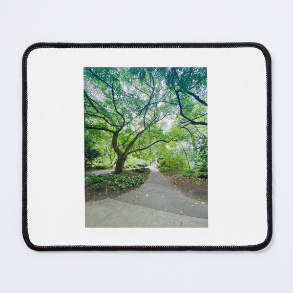 Item preview, Be strong and steady like a tree designed and sold by Amanda Crone.