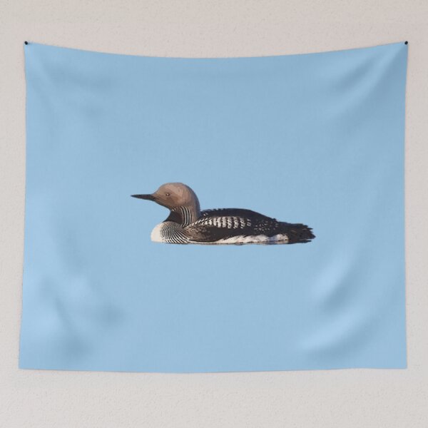 Item preview, Diseño de color del colimbo de garganta negra ártica designed and sold by designsasstultd.