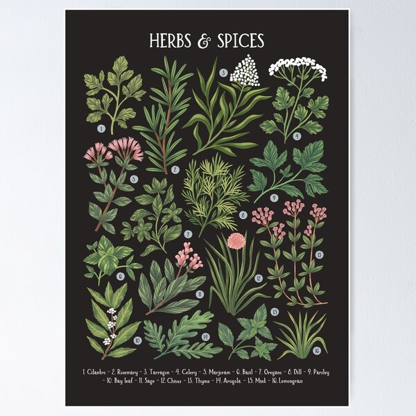Item preview, Herbs & Spices - dark designed and sold by izptica.