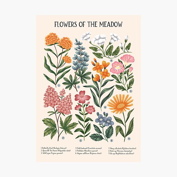 Item preview, Flowers of the Meadow - beige designed and sold by izptica.
