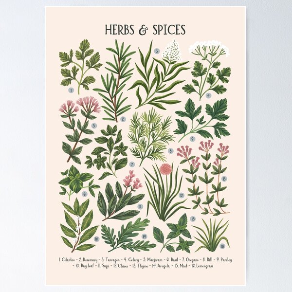 Aperçu de l'œuvre Herbes et épices - beige créée et vendue par izptica.