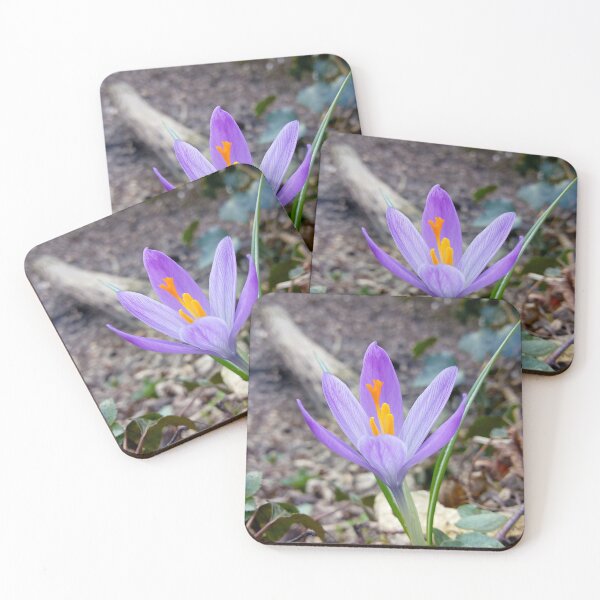 Item preview, Crocus flower field 17 original artwork designed and sold by paragonDesign28.