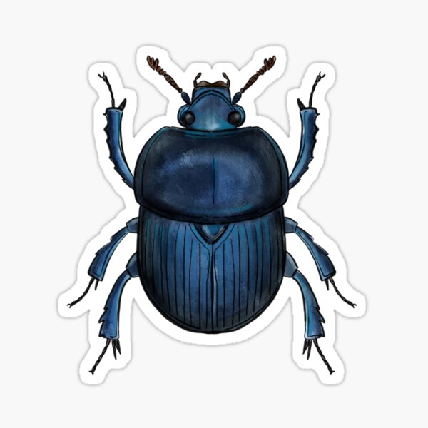 blue dung beetle Sticker