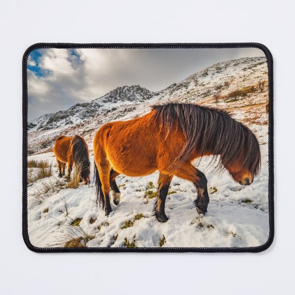 Item preview, Feral Horses Snowdonia designed and sold by AJEvans.