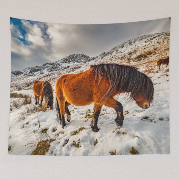 Item preview, Feral Horses Snowdonia designed and sold by AJEvans.