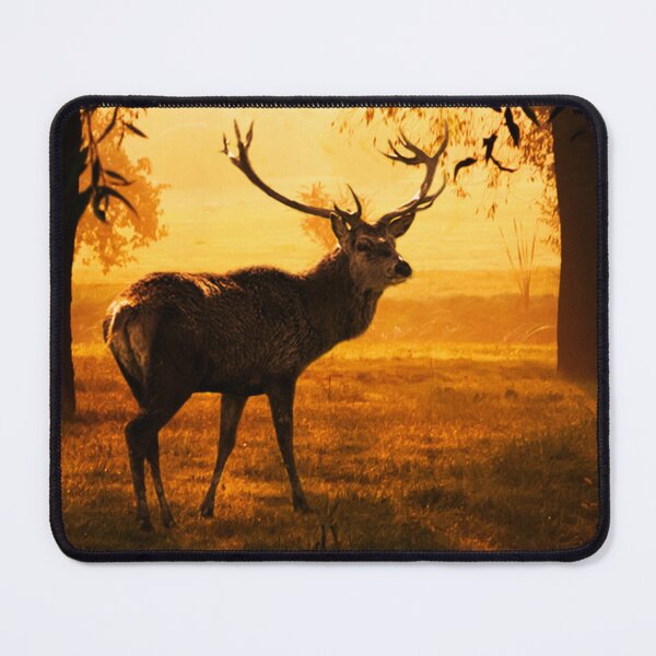 Item preview, Deer canvas, Buck Canvas,Deer,Buck,antlers, animal, animals, Deer wall art,Deer artwork, wild, Deer art, Deer painting designed and sold by eyesight4vision.