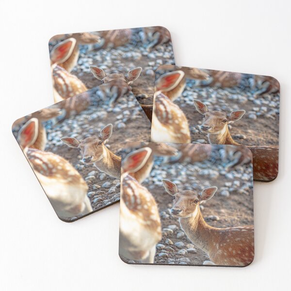 Item preview, Photograph of a deer in a nature reserve. Beautiful animal look designed and sold by javimonasterio.