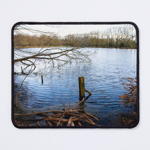 Item preview, A lake where there was no lake designed and sold by jchanders.