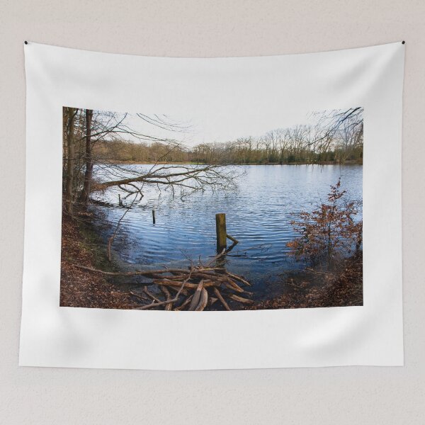 Item preview, A lake where there was no lake designed and sold by jchanders.