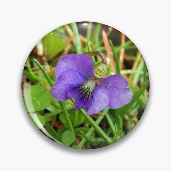 Item preview, Spring Blue Violet designed and sold by gistinker.