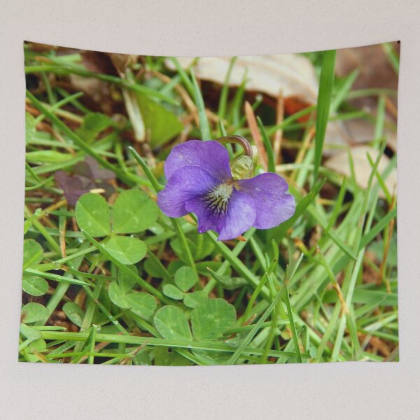 Item preview, Spring Blue Violet designed and sold by gistinker.