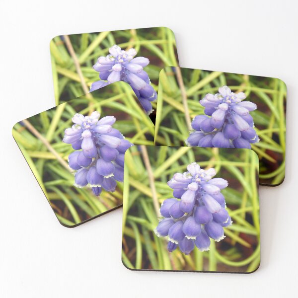 Item preview, Grape Hyacinth designed and sold by gistinker.