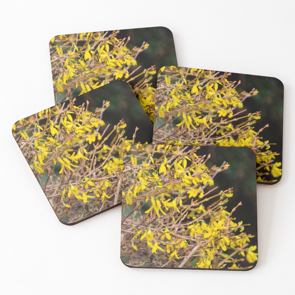 Item preview, Coasters (Set of 4) designed and sold by jchanders.