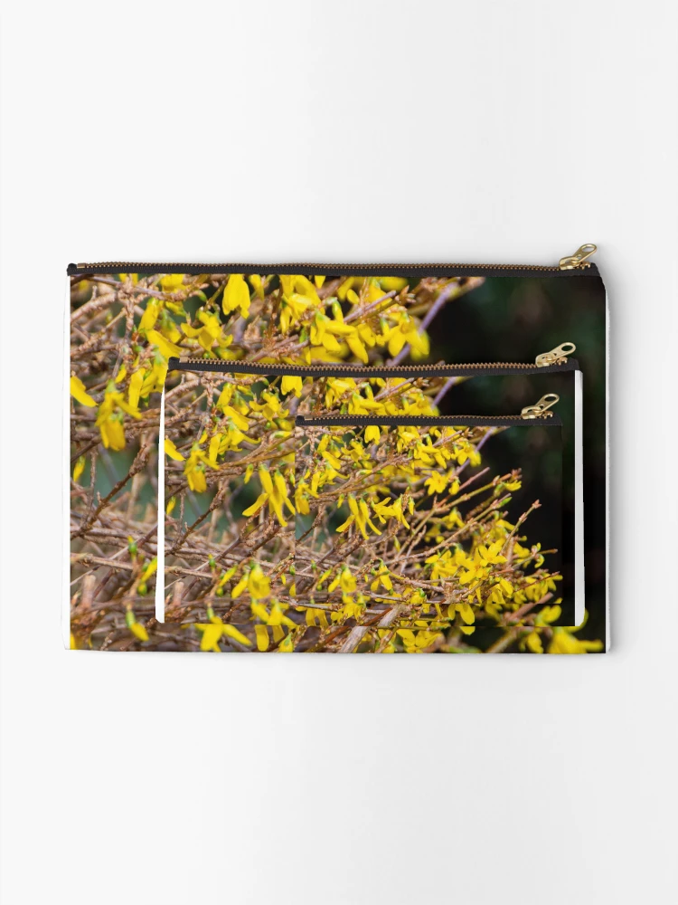 Thumbnail 2 of 4, Zipper Pouch, Spring, spring, spring! designed and sold by jchanders.
