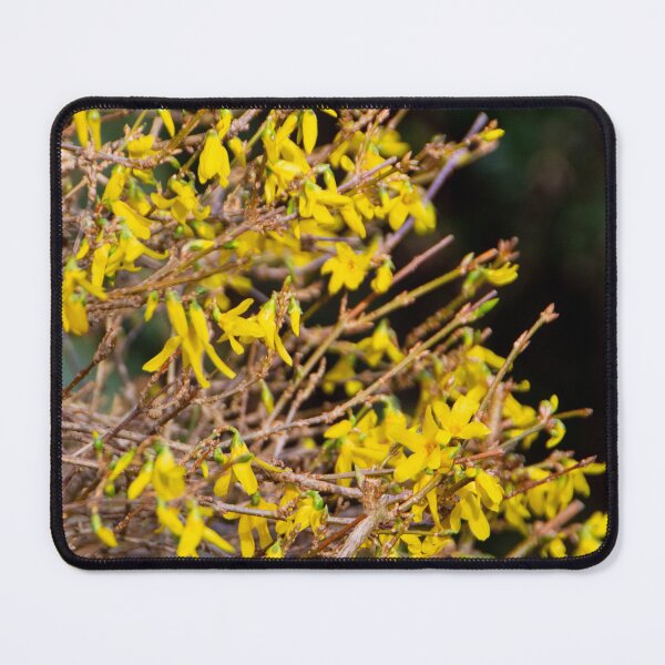 Item preview, Spring, spring, spring! designed and sold by jchanders.