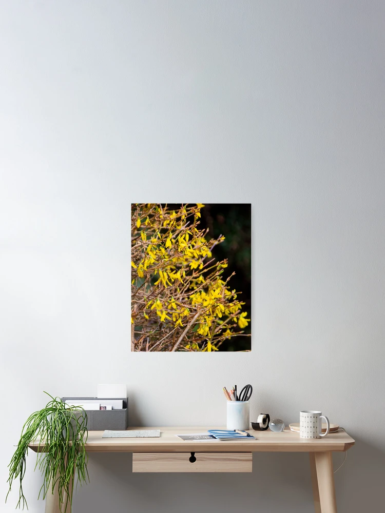 Thumbnail 2 of 3, Poster, Spring, spring, spring! designed and sold by jchanders.