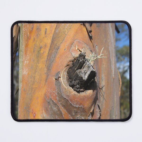 Item preview, Yellow Gum Bark designed and sold by OrangeShperes.