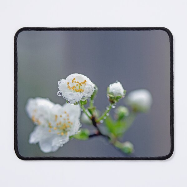 Item preview, Rain Drops on White Flower designed and sold by Kenziewenze.