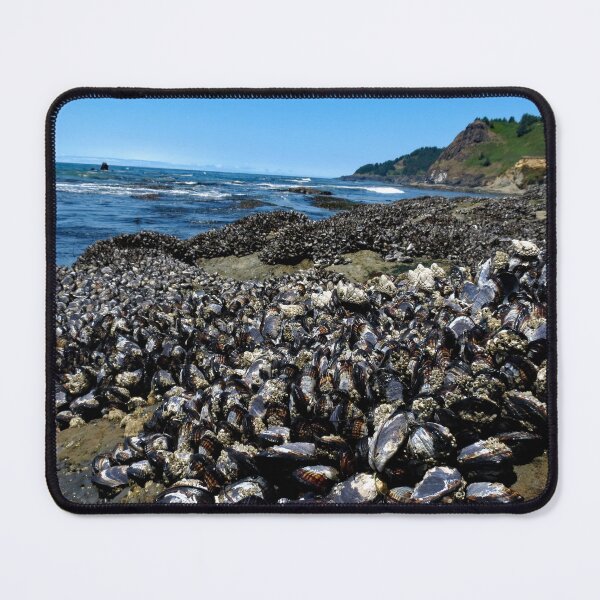 Item preview, Otter Crest Beach Oregon designed and sold by supernova23.