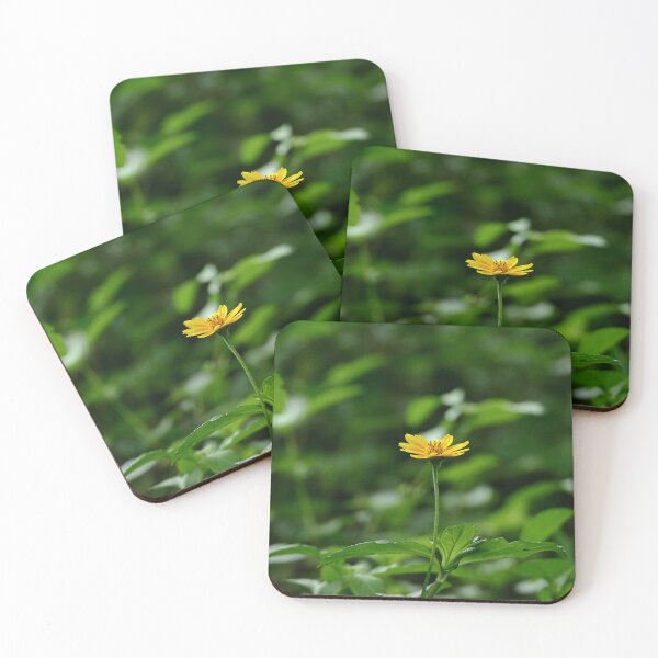 Item preview, Solitary yellow daisy spotlighted in the forest designed and sold by jaynerushton.
