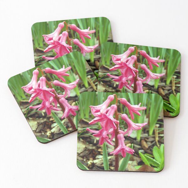 Item preview, Pink Hyacinth After Spring Rain designed and sold by gistinker.
