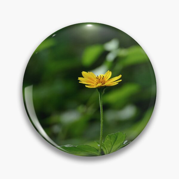 Item preview, Solitary yellow daisy spotlighted in the forest designed and sold by jaynerushton.