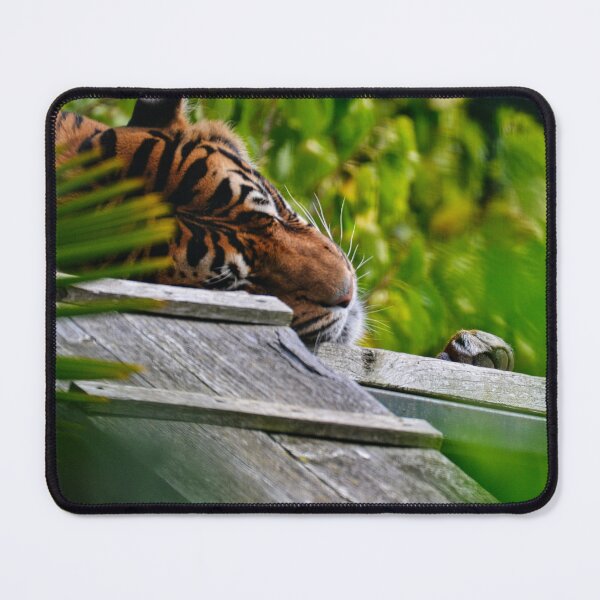 Item preview, A Sumatran Tiger resting among greenery designed and sold by Filip Nycz.