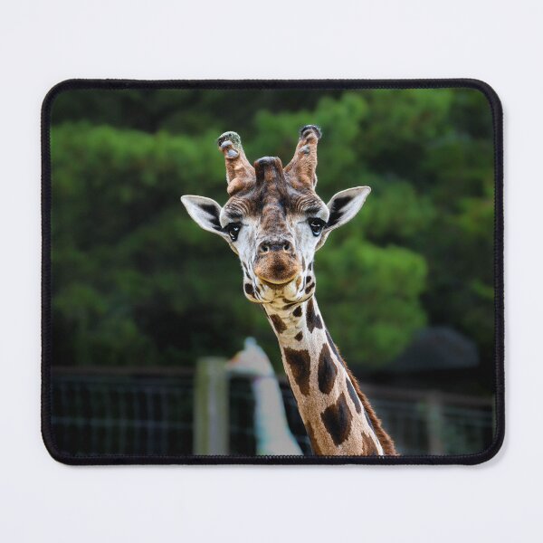 Item preview, Giraffe designed and sold by Filip Nycz.