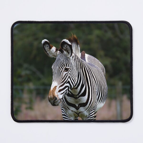 Item preview, Zebra designed and sold by Filip Nycz.
