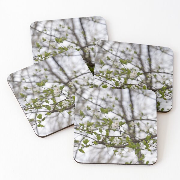 Item preview, Spring is Coming - Blooming Tree with Delicate New Leaves designed and sold by Georgia Mizuleva.