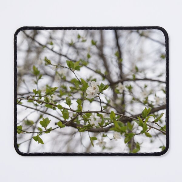 Item preview, Spring is Coming - Blooming Tree with Delicate New Leaves designed and sold by Georgia Mizuleva.